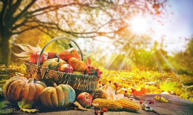 14 ��������: ���� �����