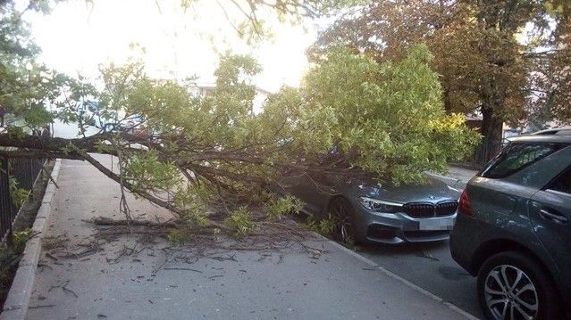 � ����������� ������� ������ ��������� ���������� BMW