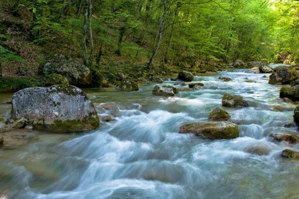 ������������� ����������� ���������� �� ����� �� ���������� ���� �� ��������