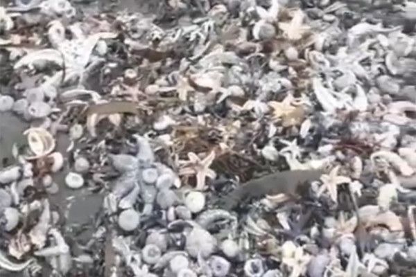 �� �������� ��������� ������� ���������