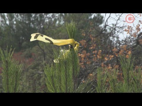 ������� ������������� ���������� � ���������� ������������� �������� ������ ������ � �������� ���������������� ������� (�����)
