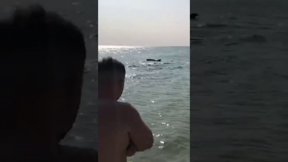 �������� �������� ��� � ���� ��� ������
