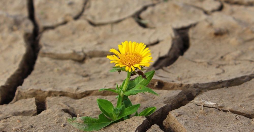� ����������� ��-�� �������� ���� �������� ����� ���������� ����������