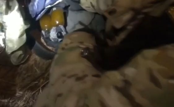 ��� ������������� ��������� ����������� �� ���������
