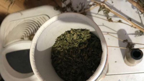 ���������� ��������� �� �������� ������� ����������� ���������