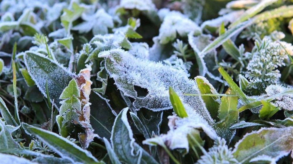� ����������� ����� ��������� ���������
