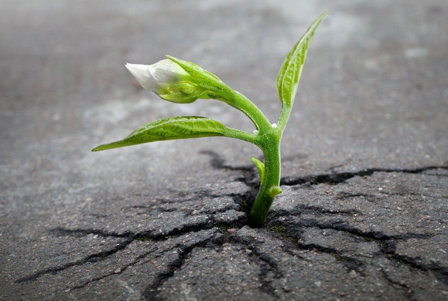 ������������ ������� �������� ����� ������� ������� �� ����� ���� ��������