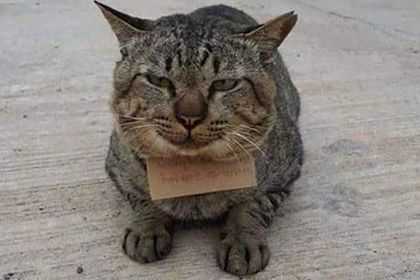 � ������ ��� � ������: ������� ��� �������� �����