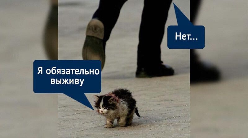 ����������, �����, ����������: ��� ����� �� ���������� ����� � �����