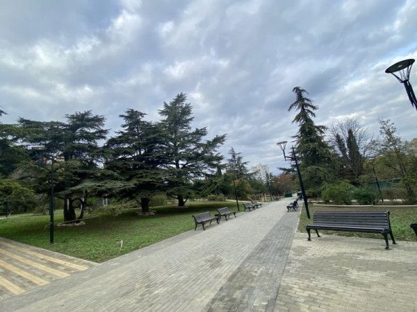 � ������ ��������������� ��������� �������� �������� ��� ������ � ����������� �����