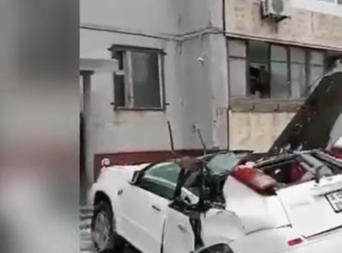 �� ������������ �������� ����� ������� �� ����������