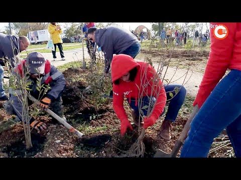 � ����� ��������� �������� ����� ������� (�����)