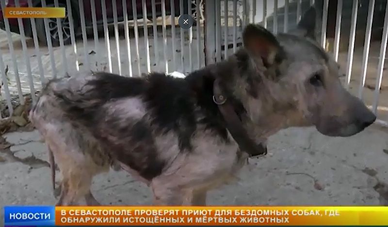 �������� ���������������� ��� ������ � ������� ����� ������ ������