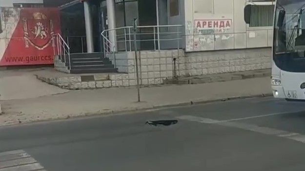 � ������ ����������� �� �������� ����� ���������� ���������� �������