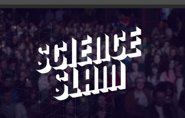 � ����������� ������� stand-up ������