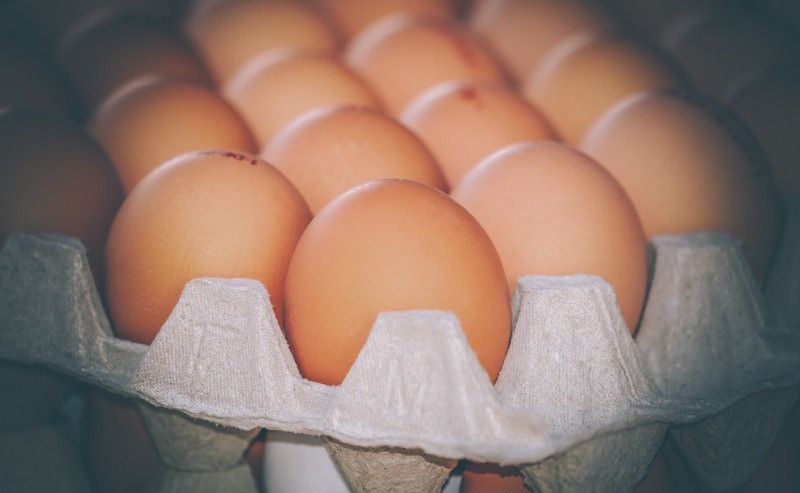 � ����� �������� ���� ����� ������ ������������