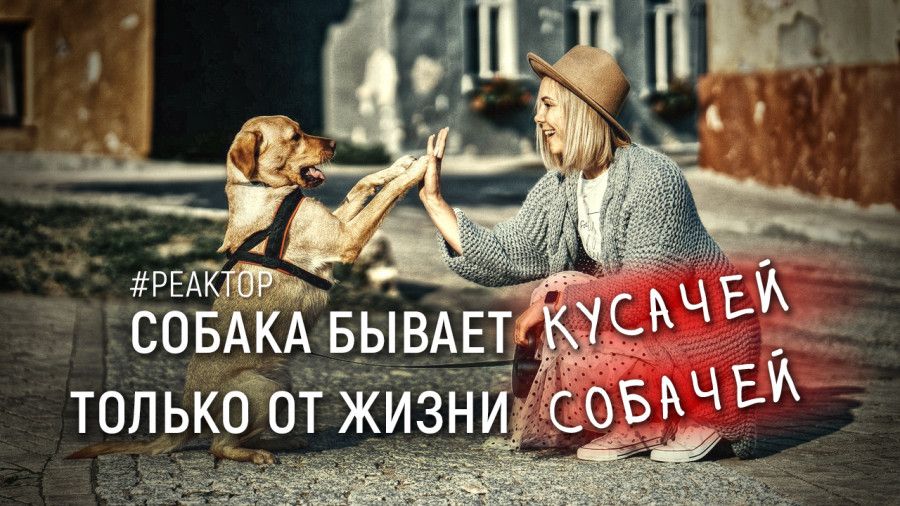 ������ �������� ������� ����������� �������� �� ������� �����? ForPost-�������