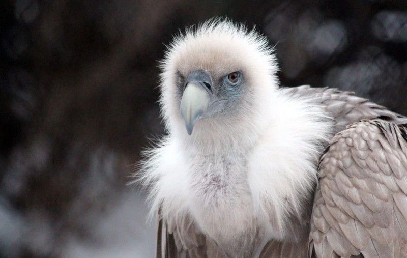 �������� ��������� �� ����� �������� �����������