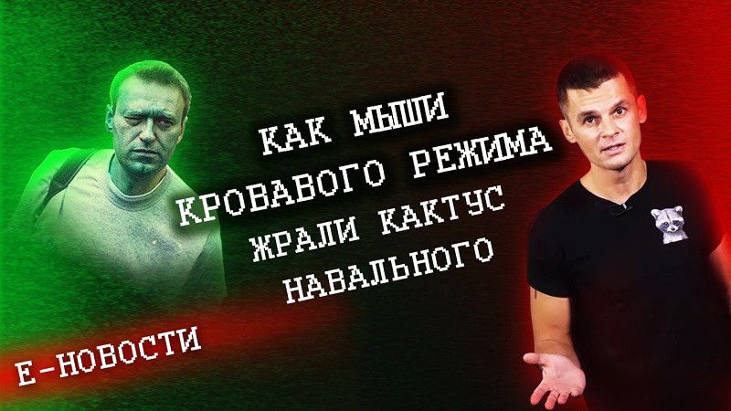 �-�������: ��� ���� ��������� ������ ����� ������ ����������