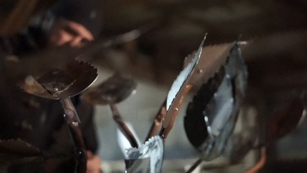 �� ������������ ��������� ��������� ������� ������� ������ �������� 10 ����
