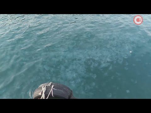 ��������� ����� � ������������ ����� (�����)