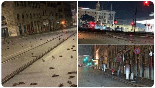 � ������ � ����� ������ ���� ����� "�����" �� ������� ����