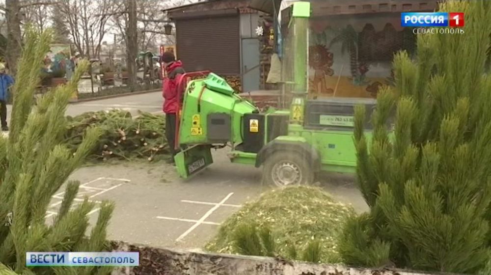 ��� � ����������� ����� ����� �� ����������� ���������� ���