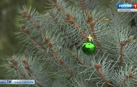 � ����������� ��������� 37 ������� ����� ���������� ����
