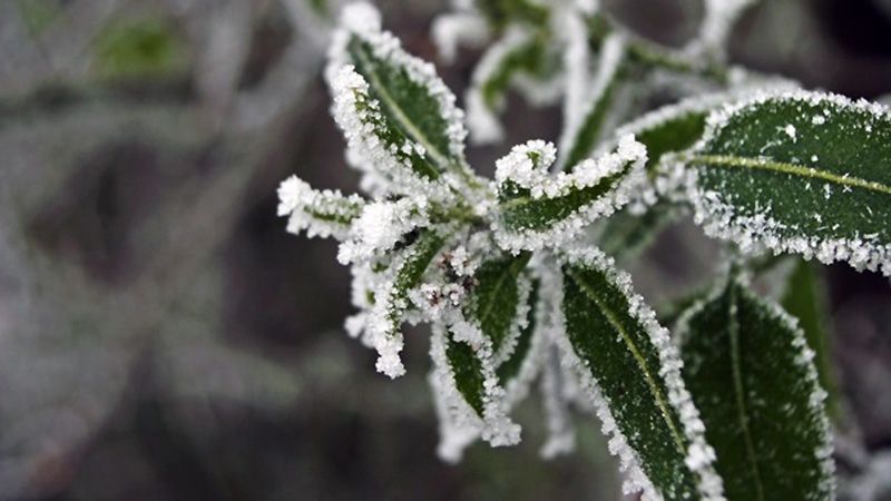 ������� ������ �� 16 ������: � ����������� � ����� ���������� �����������