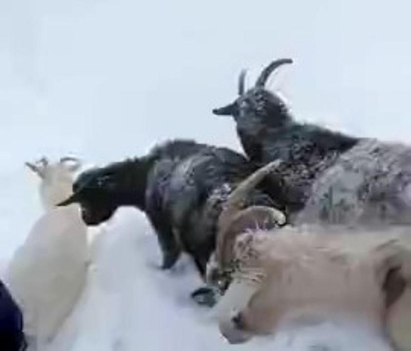 �� ����������� ����� ����� �������� ����� �������� ���