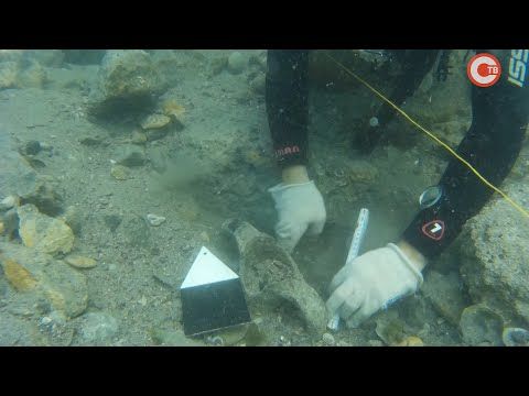 � ����������� ������� ���������������� ������� ������� ���������� ����������� �������� (�����)
