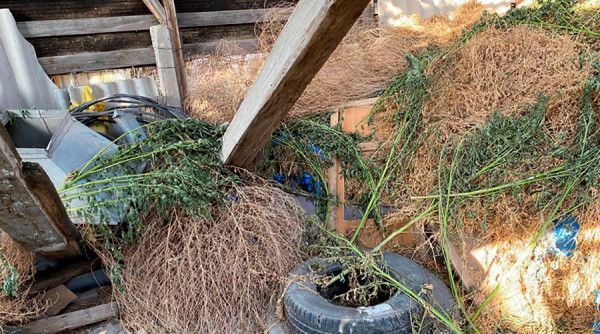 � ���������� ������ ���� ����������� ������� �������
