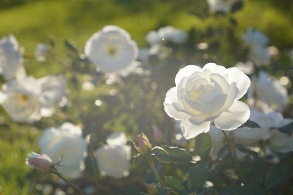 � ������������� ������� ���� � ����������� ��������� ������� ����������� �������