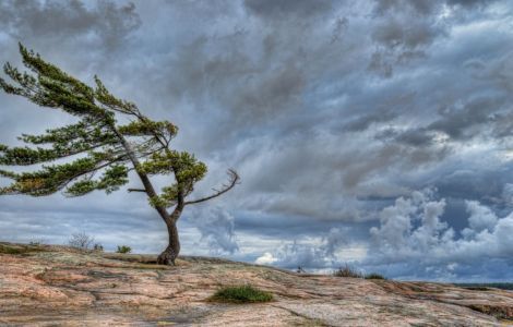 � ����� 6 ����� ��������� ��������� �����