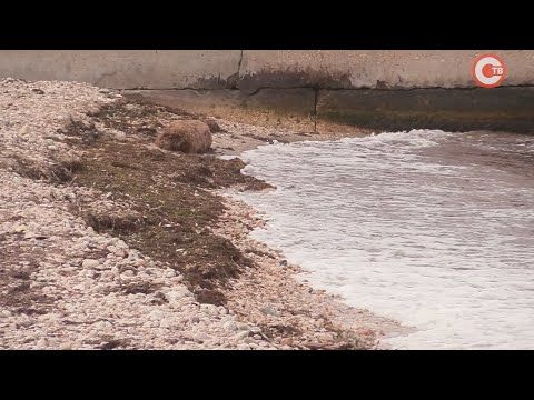 � ����������� ��������� ����� ������ �������� � ���������� ������ (�����)