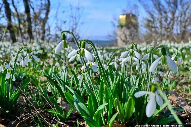 ������� ������ �� 13 �����: � ����� � ����������� �� +9��
