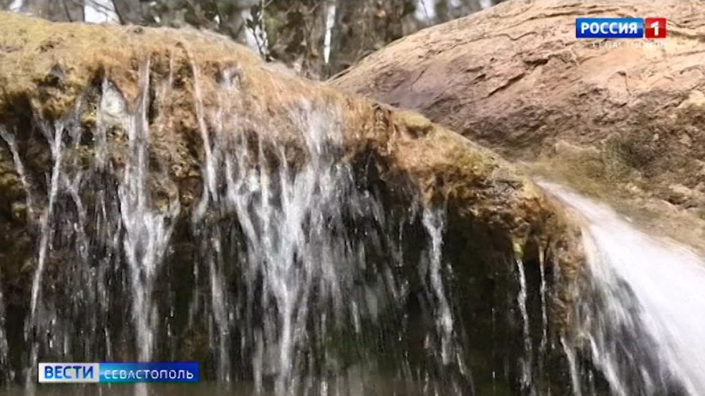 ��������������� ��������� �������� � �������� ������