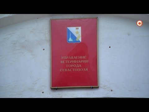� ������� ������������ �������� ������ ������ �� ���� ������� (�����)