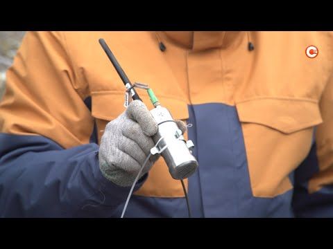 �� ��������� ���� ������������� ������������� ������������ ������ (�����)