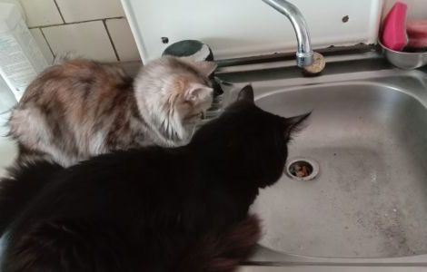 � ����������� 20 ���� �������� ��� ����, ������ ���������� ��� �� ���