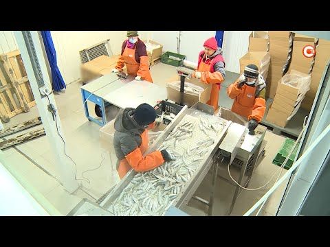 ��������������� ������ ��� ����� � �������� �������� (�����)