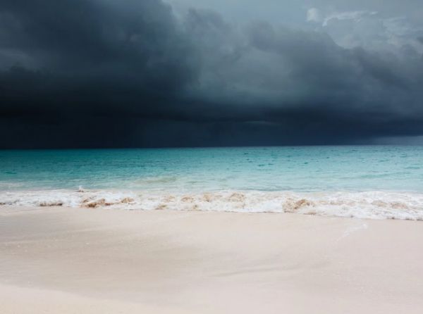 � ����� ��������� ��������� ��������������