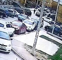 �������� ���� ������� � �����������