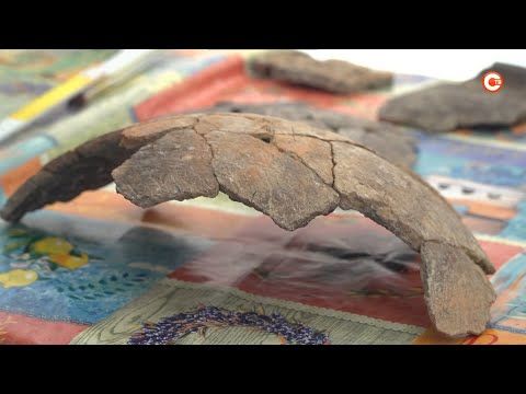 ��������� ��������� �������� �� ������� ������� ������ �������� (�����)