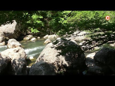 ���������� ���������������� ����������� �������������� �������������� ������ (�����)