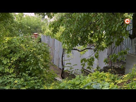 ������������ ������ ����� ���� �� ����� �������� �� �������� ��������� (�����)