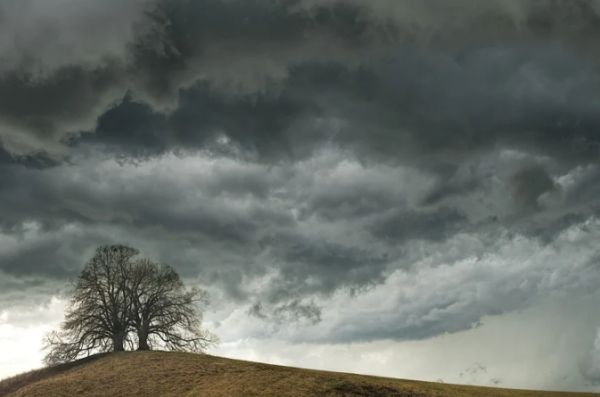 � ����� ��������� ��������� ��������������