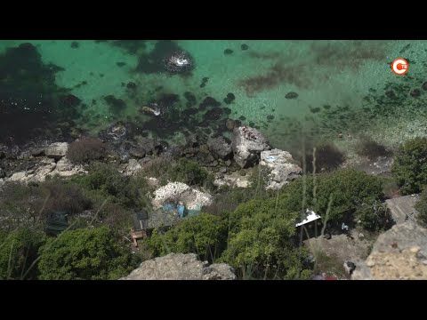 � ���������� ���� ��������� �� ���� ����������� ������ ������ ����������-������� (�����)