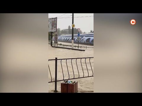 ��� ����� �� ������ �������������� � ��������� ���? (�����)