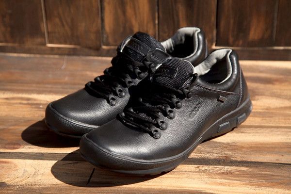 ����� ECCO � �����������